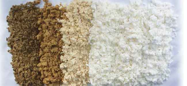 virgin wood pulp VS bamboo pulp for tissue paper