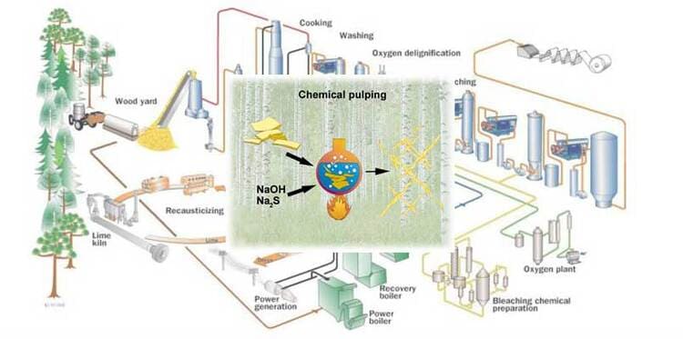 chemical pulping