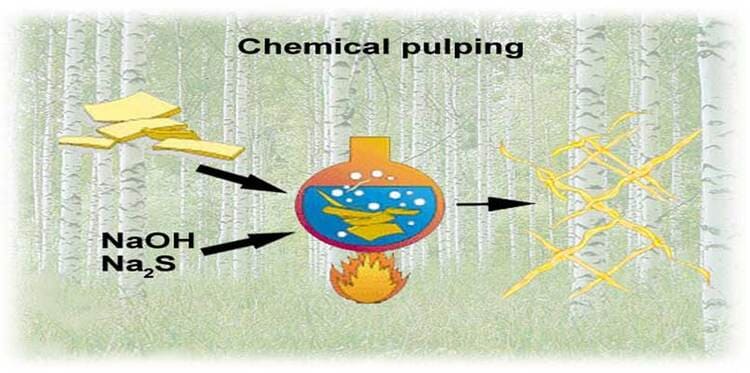 know chemical pulping